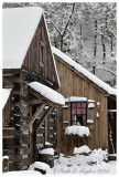 2010-02-06_326_SnowW.jpg