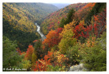 Autumn at  Lindy Overlook <br/>Black Water Falls State Park, WV