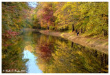 Autumn Walk Along the Canal
