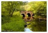 Summer Along Pidcock Stone Bridge