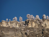 small-P1010976.JPG