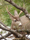 small-P1020003.JPG