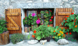 Window with flowers