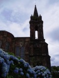 Hydrangeas at foot of chapel