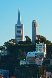 TransAmerica Building