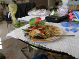 Eating From my Plate