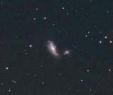 Ngc-4490 & SN-2008AX