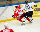 IMG_7221.jpg