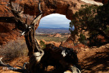 Partition Arch, Arches National Park