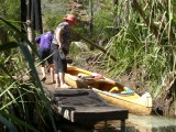 Overlanding the canoe.jpg