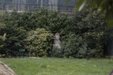 Jardin de Balzac.jpg