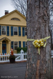 Tie a yellow ribbon round that old oak