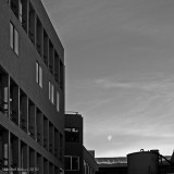 (365 - 226) Luna de día