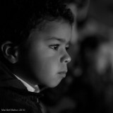 (365 - 325) Una tarde en el circo