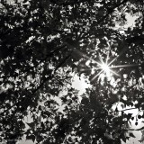 (365 - 343) Wandering star