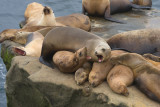 40d_IMG_4693.jpg
