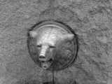 Bear on Chief Sealth statue