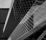 Seattles Central Library II