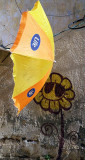 umbrella and flower.JPG