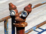 fire hydrant7.JPG