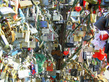 Bridge lock tree close.JPG