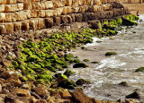 green rocks sea.jpg