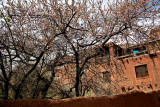 Abyaneh Village