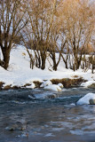 Karaj River Side