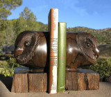 Owls head  bookends