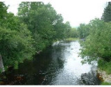 Round Hill Brook in summer (land is to left side)