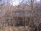 river