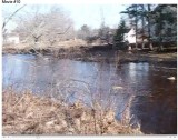 view across the stream