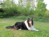 Sabrina in back garden