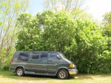 white-lilacs-28-05-2010.jpg