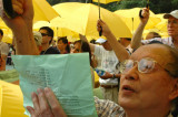 Participant, 2012 Universal Suffrage Rally, 2007