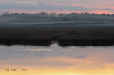 Ribbons of Fog