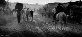 Pushkar fair