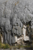 Hidden Valley of Orakei Korako
