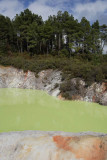 Wai-O-Tapu Thermal Wonderland, Sulphur lake