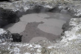 Wai-O-Tapu Thermal Wonderland, mud pool