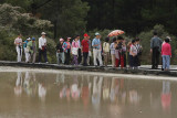Wai-O-Tapu Thermal Wonderland, Japanese Group