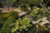Waimangu Volcanic Valley