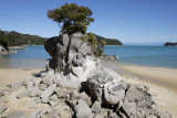 Abel Tasman