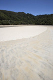 Abel Tasman