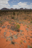 Olgas Lookout