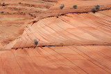 Coyote Buttes South, Paw Hole