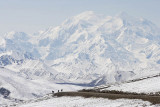 Denali National Park