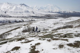 Denali National Park