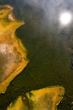 Upper Geyser Basin, algae pattern