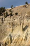 Roosevelt Country, Calcite Springs